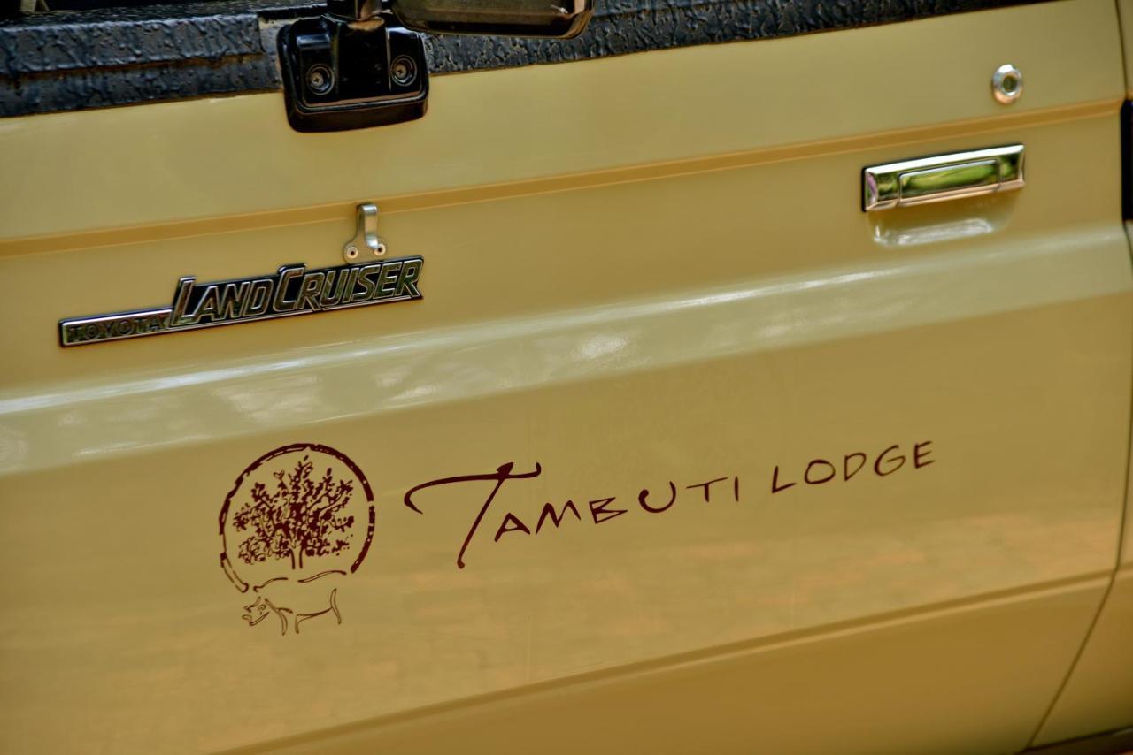 Tambuti Lodge พีลาเนสเบิร์ก ภายนอก รูปภาพ