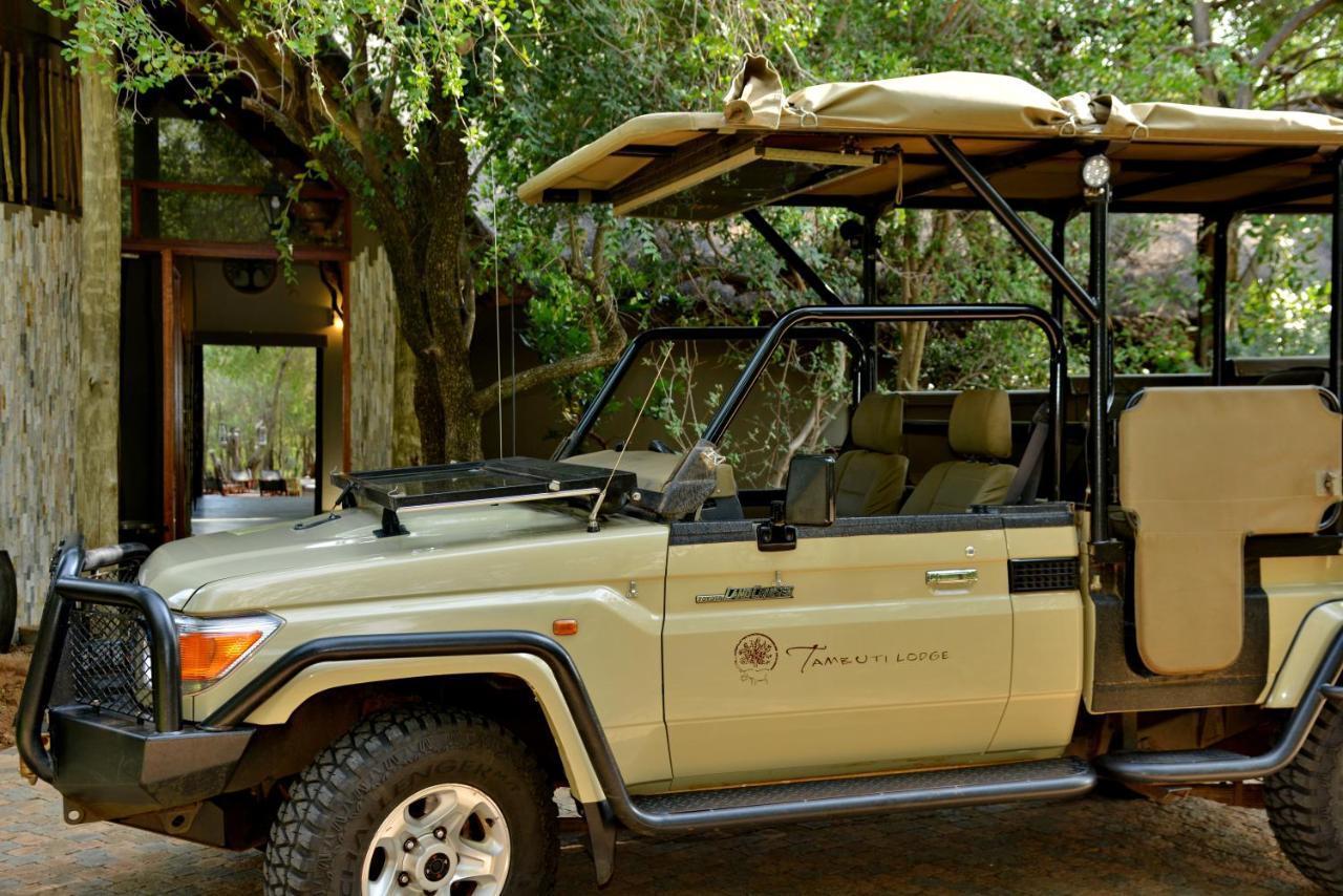 Tambuti Lodge พีลาเนสเบิร์ก ภายนอก รูปภาพ